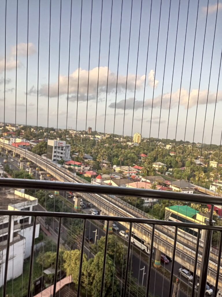 Invisible Grills in Patna | Balcony & Window Invisible Grill Installation