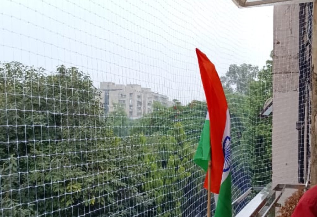 Best Pigeon Net In Patna – Balcony Safety Net & Bird Net Installation
